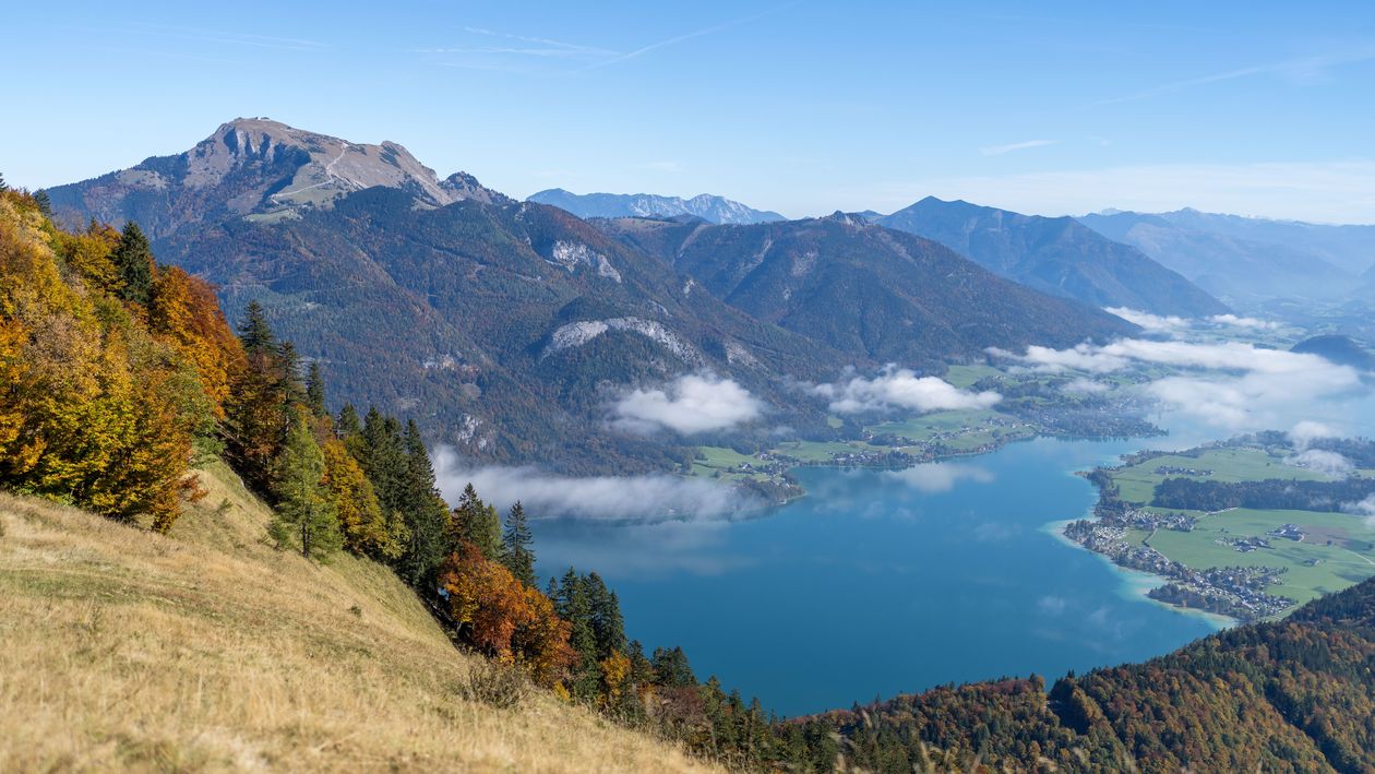 Panorama am Wolfgangsee im Herbst Blick auf den Wolfgangsee mit Bergen und herbstlichem Laub im Vordergrund und Nebel über dem Wasser